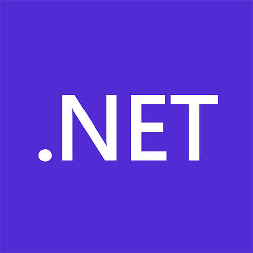 Hire .NET Developer